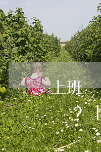 上班時(shí)間睡覺被辭退，法院如何判？|法律顧問